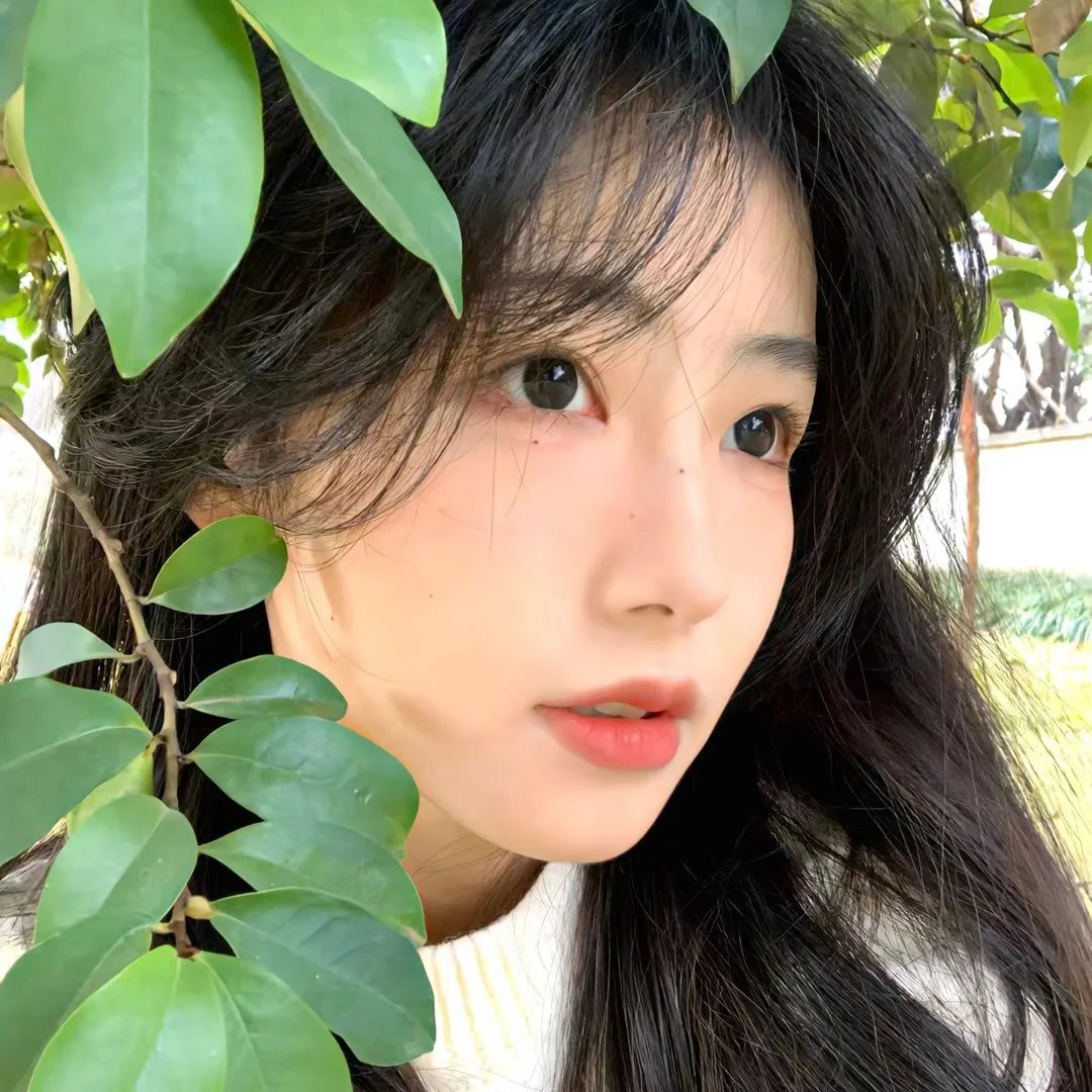 悲欢的岁月